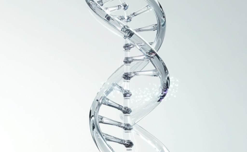 NMN and Its Role in Longevity